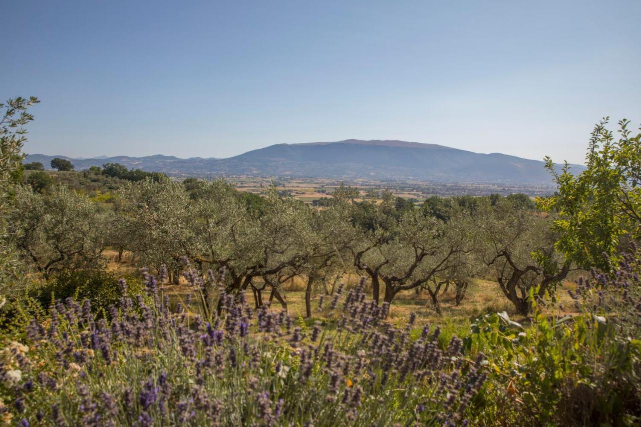 Villa Colle Di Rocco Limigiano Buitenkant foto