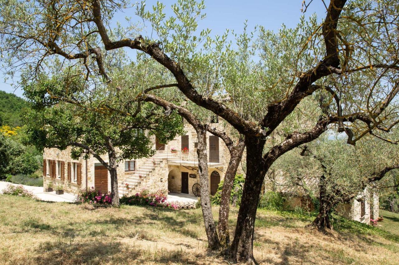 Villa Colle Di Rocco Limigiano Buitenkant foto