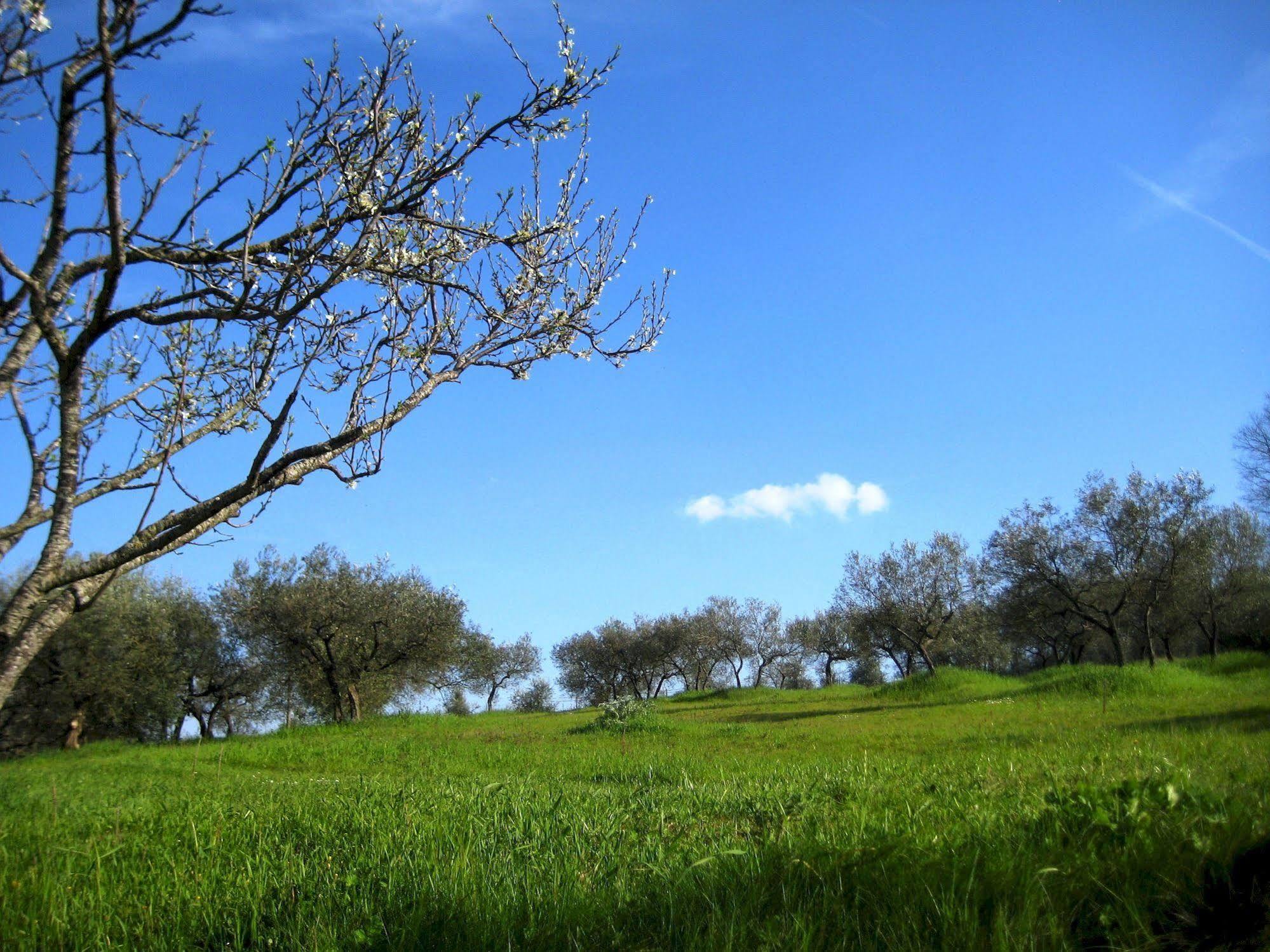 Villa Colle Di Rocco Limigiano Buitenkant foto